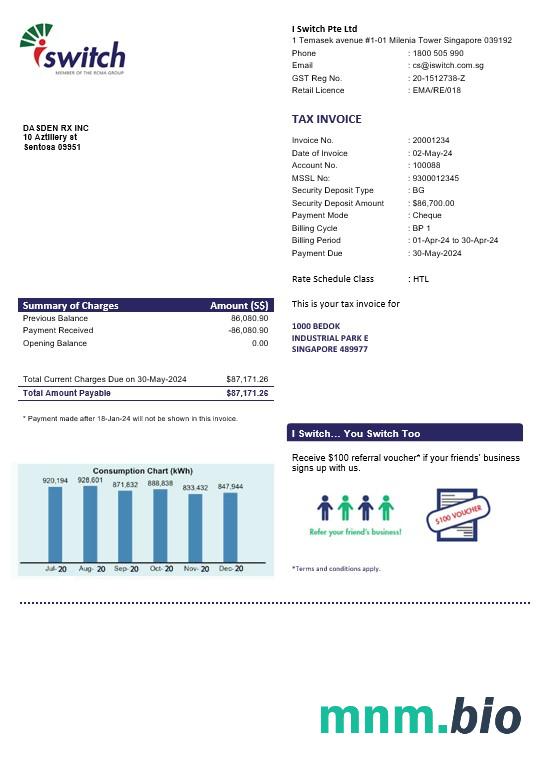 Singapur przełączam szablon rachunku za energię elektryczną w formatach Word i PDF